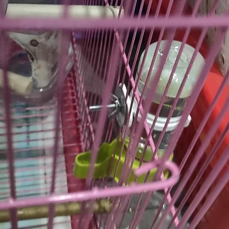 2PCS Automatic Auto Waterer For Parrots Budgies Cockatiels Safe Plastic Water Dispenser Feeder Easy Maintenances