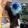 Flower Catching Clip Female 2024 New Feather Back Of Head Coiled Hair Shark Volume High Fragmented Korean Style Roots