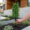 Bamboo Leaf Artificial Lavender Stake Flower No Fade Simulation Lavender Plant  Patio Lawn