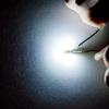 10Pcs T5 3030 3SMD LED Bulb Car Interior Light High Bright Dashboard Warming Indicator Wedge Auto Instrument Lamps