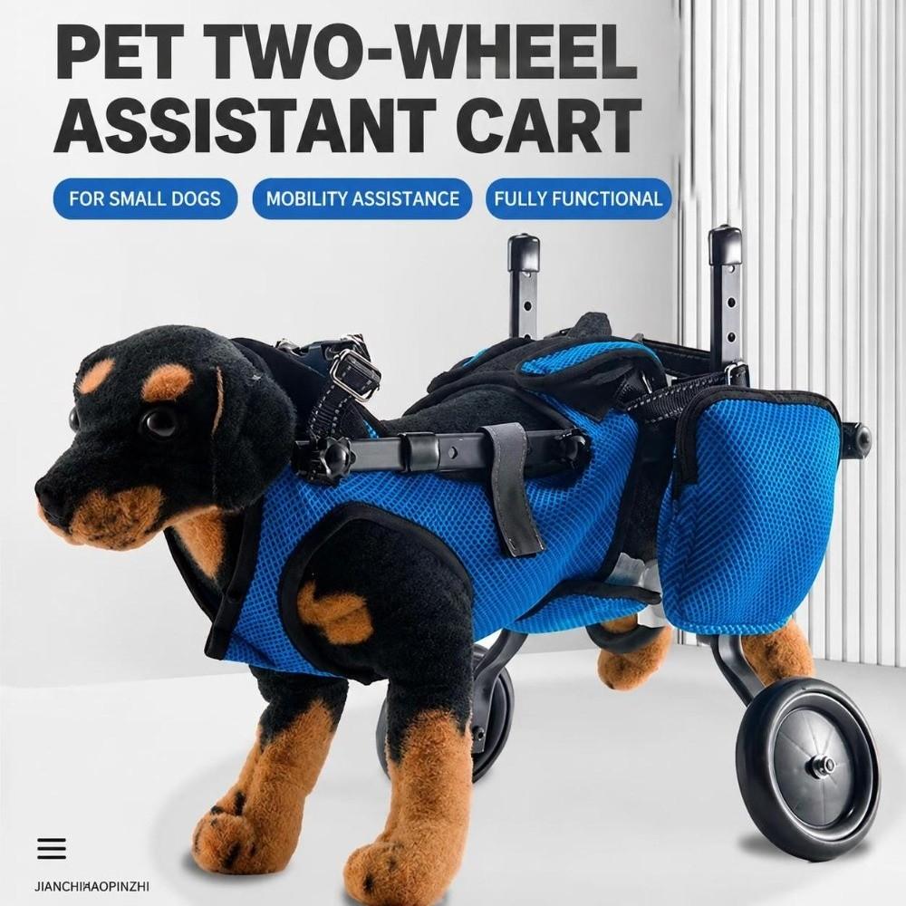 Adjustable Pet Wheelchair Rear Leg Support Cat Mobility Aids Pet Disability Car Outdoor Walking