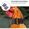 Balacoo No Crow Rooster Collar - 8pcs Rooster Collar To Stop Crowing, Nylon AntiCrow, Chicken Neckband No Noise, Neck Belt To Keep S Quiet