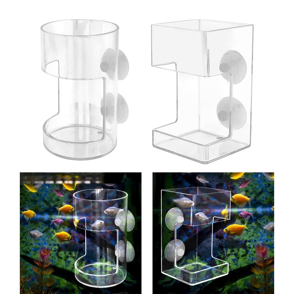 Acrylic Fish Feeder Transparent for Brine Shrimp Larva Assembled Prevent Water Turbulence Fish Tank Worm Feeder Golden Fish