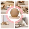 Cat Scratcher Ball Scratching Sisal Puzzle Play Interactive Cat Play Exerciser With Feathers For Play Hunting Climbing Scratcher