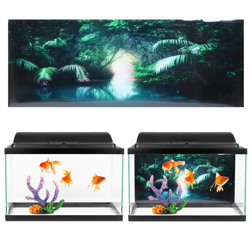large aquarium backgrounds