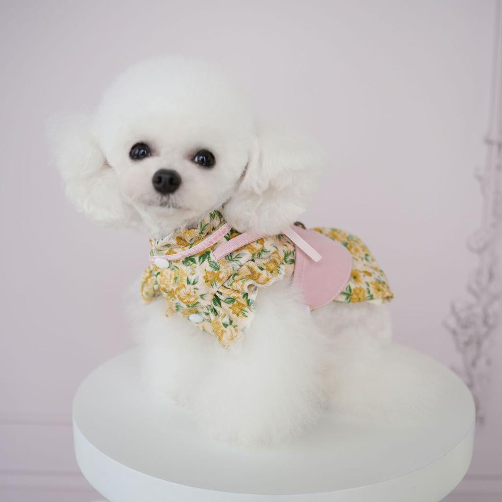 Pet Clothes Princess Style Floral Vest Skirt Cute Cat Teddy Bear Floral Plus Plush Cotton Coat Dog Clothes for Small Dogs Jacket
