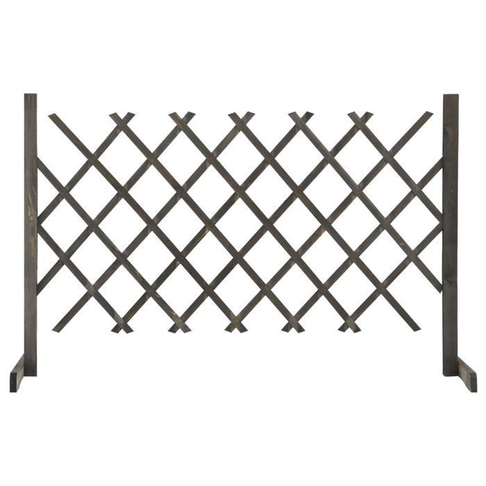 VidaXL Clôture en Treillis de Jardin Séparateur de Jardin Support pour Plantes Grimpantes Plate-Bande Extérieur Gris 120x90 314825