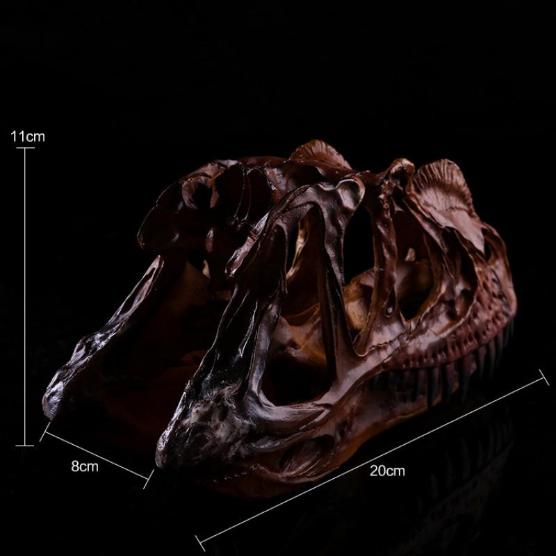 Ceratops Dinosaur Resin Skull Head Decoration Personalized Home Decor Teaching