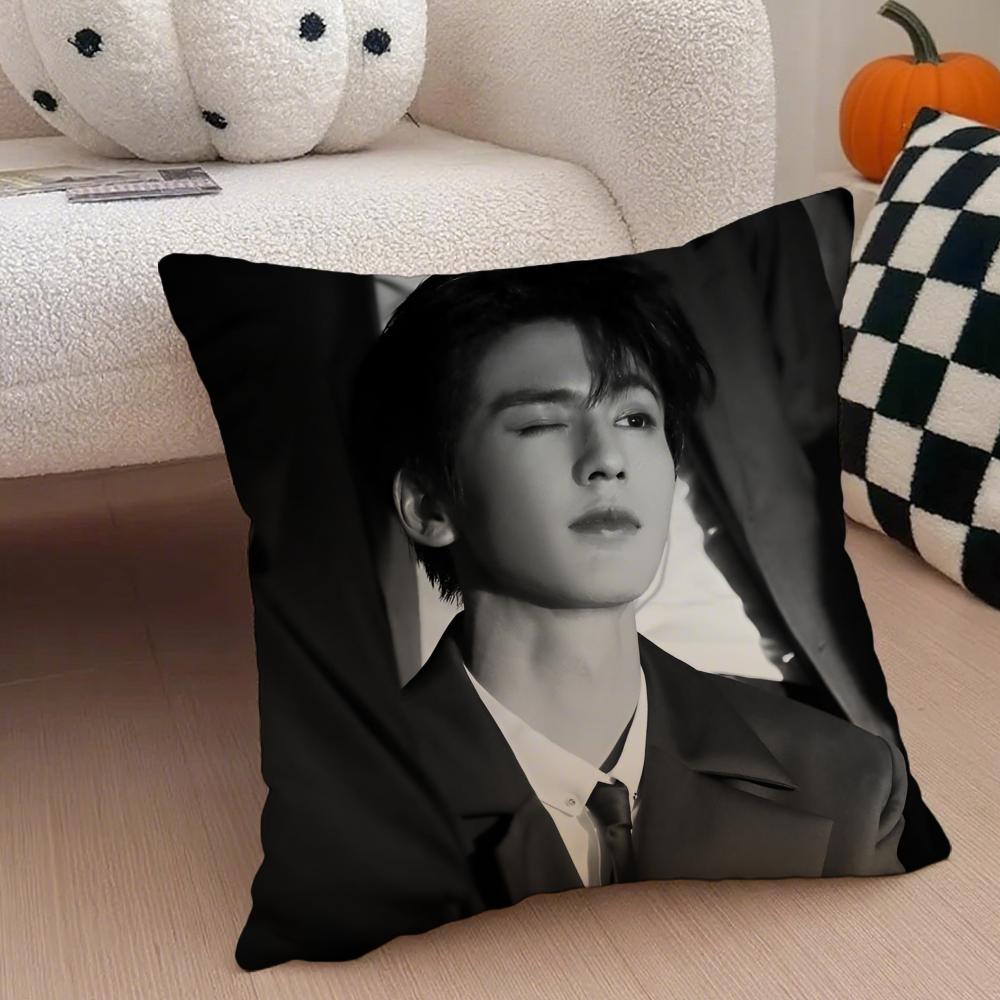 Handsome Versatile Chinese Actor ZZhangLingHe Cushion Cover Throw Pillow Cover Hidden Button Durable Polyester Chair Cushion