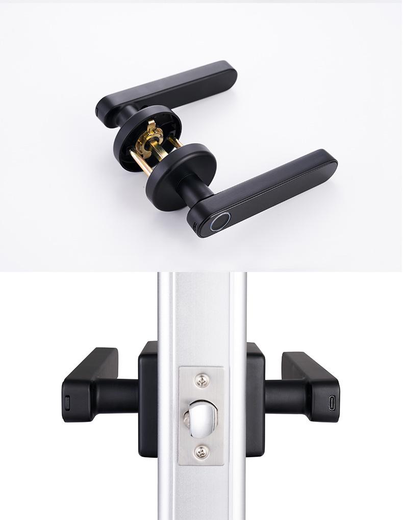 Tuya Smart Spherical Password Lock: Semi-Automatic Fingerprint Lock for Home or Office Doors.