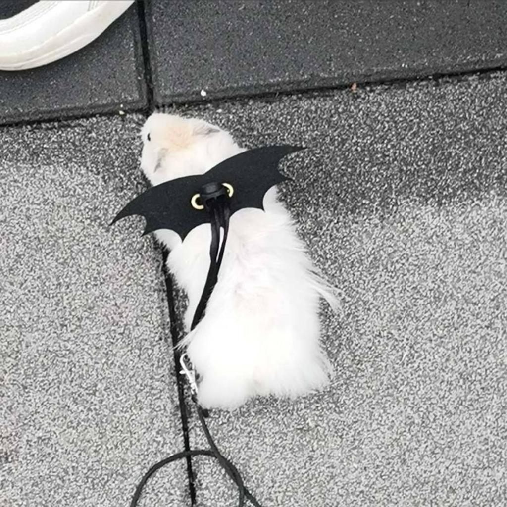 Laisse et Harnais pour Hamster Anti-Fugue Laisse de Promenade pour Hamster Gilet de Promenade Sweet Soarer Extension Volante Légère Harnais pour Animal de Compagnie