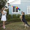 Sensory Training Rainbow Tail Ball Catch Meteor Ball Safe Dog Ball  School