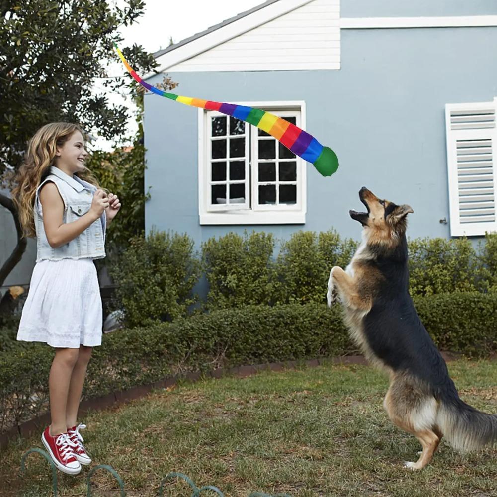 Sensory Training Rainbow Tail Ball Catch Meteor Ball Safe Dog Ball  School