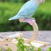 C Shape Bird Swing Stand For Budgies Lovebirds Desktop Play Safe Chewable Wooden Perches With Curved Base