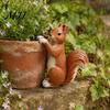 Squirrel Statue for Garden Planter Climber Statue, Cute Lifelike Sculpture, Resin Small Animal Lawn Decor Figurine Plant Pot Edge Decoration