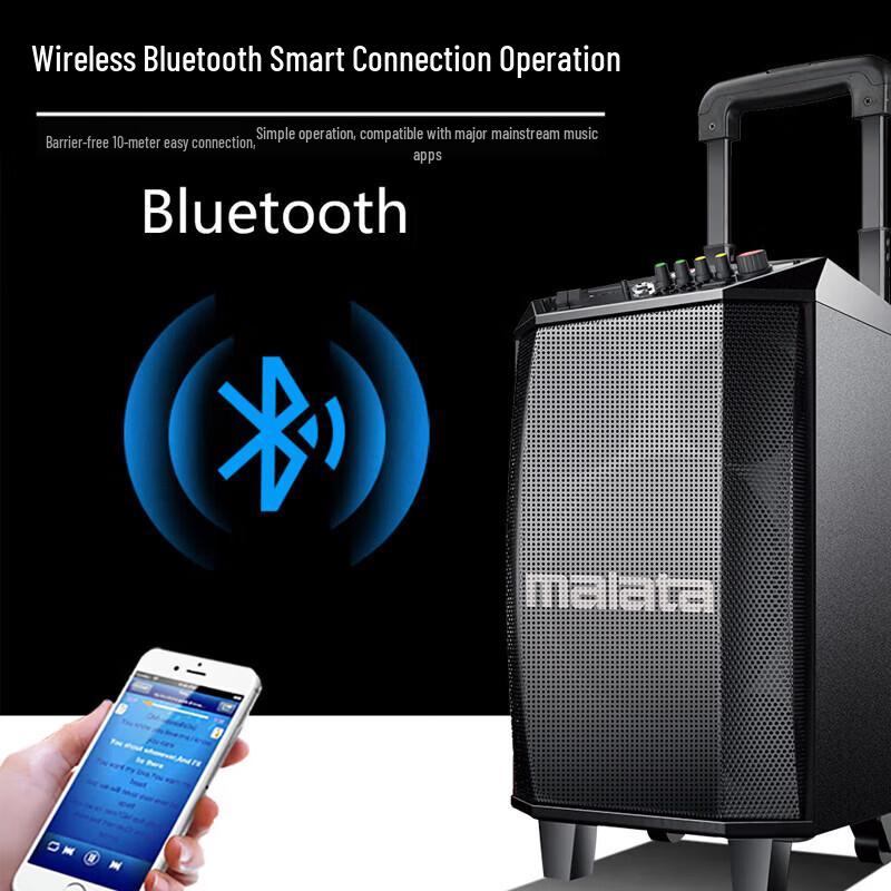 Malata M+9015 Series Outdoor Trolley Speaker (CN version)