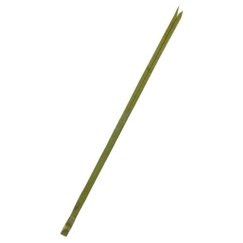 Commercial-grade pine needle skewers, 9cm, approximately 100 pieces, with a forked pine needle-shaped tip