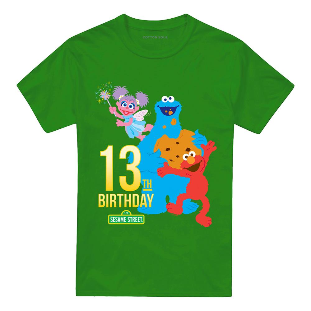 Sesame Street Unisex Adult 13th Birthday T-Shirt