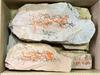 Natural Yamashiro Raw Rough from Produced In Genuine Honzan Finishing Forging and Iyo Whetstone from Sample 60 Size Honzan For 3162 Whetstone, Brand,