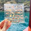 Xiaohongshu Bestseller: High-Transparency Seashell Display & Nail Art Rhinestone Storage Box with Magnetic Closure.