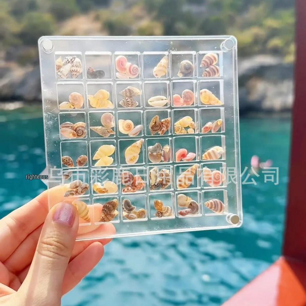 Xiaohongshu Bestseller: High-Transparency Seashell Display & Nail Art Rhinestone Storage Box with Magnetic Closure.
