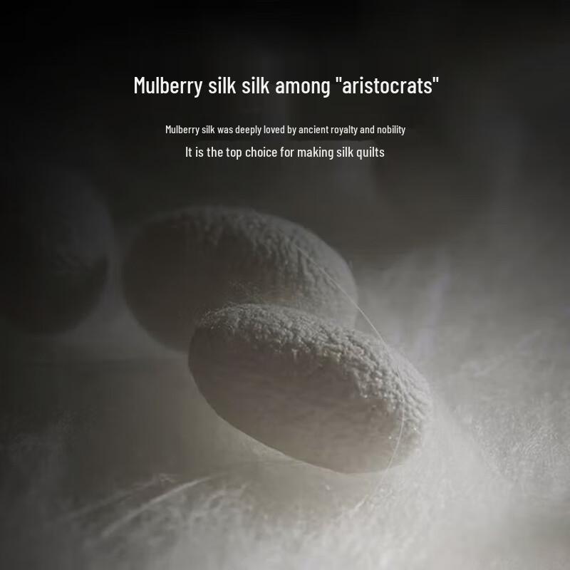 Heng Yuan Xiang Class A Mulberry Silk Jacquard Quilt