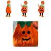 Vibrant Orange Pumpkin Fancy Dress For Children Halloween Celebration Events