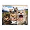 2026 Wall Calendar Funny Cats Wall Hanging Calendar Jan.2026 - Dec.2026 12-Month Planner for Home