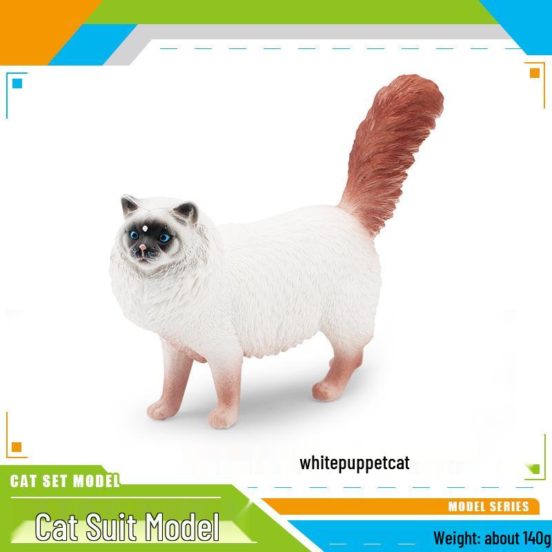 Children's Kitten Model Set: Ragdoll Cat, Lazy Orange Cat, Paw-Up Grey Cat, Sleeping Calico Cat, Lying Siamese Cat Figurines.