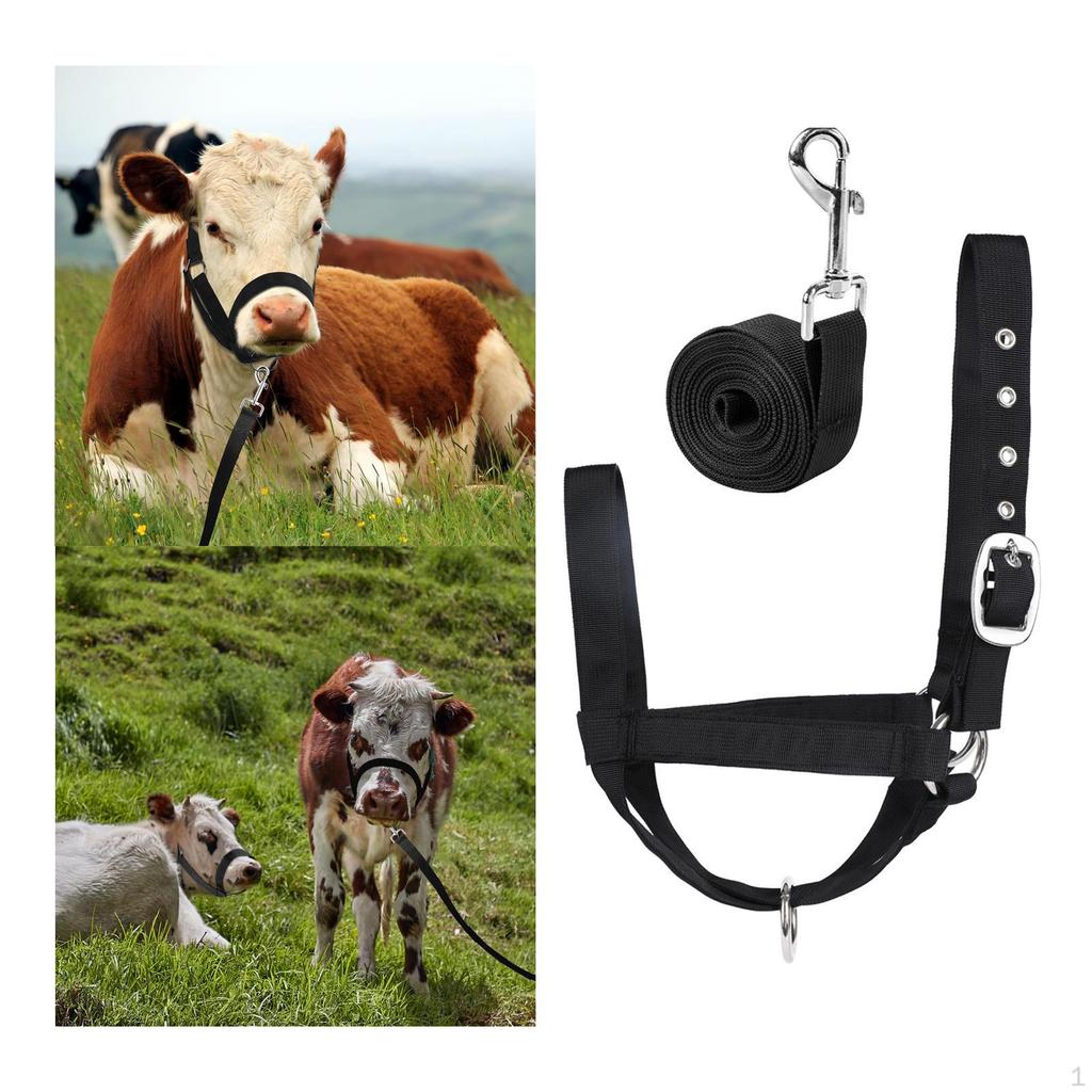 Bull Bridle Nylon Cow Halter Calf Outdoor Control Gear Professional Both Crown and Nose with