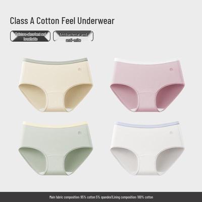 Roupa interior – Cuecas higiénicas