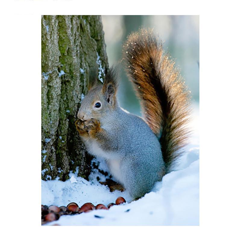 5D DIY Diamant Malerei Holz Eichhörnchen Diamant Mosaik Diamant Stickerei Volle Set Kreuz Stich Kits Home Decor Geschenke