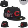 Cincinnati Red, Side Label, Team Size Cap, Closed Cap, Baseball Cap, Sun Hat, Embroidered Cap
