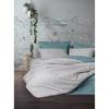 Bed Linen Set - 1 Duvet Cover 220 X 240 Cm + 2 Pillowcases 60 X 60 Cm - 100% Reinforced Cotton - Mint