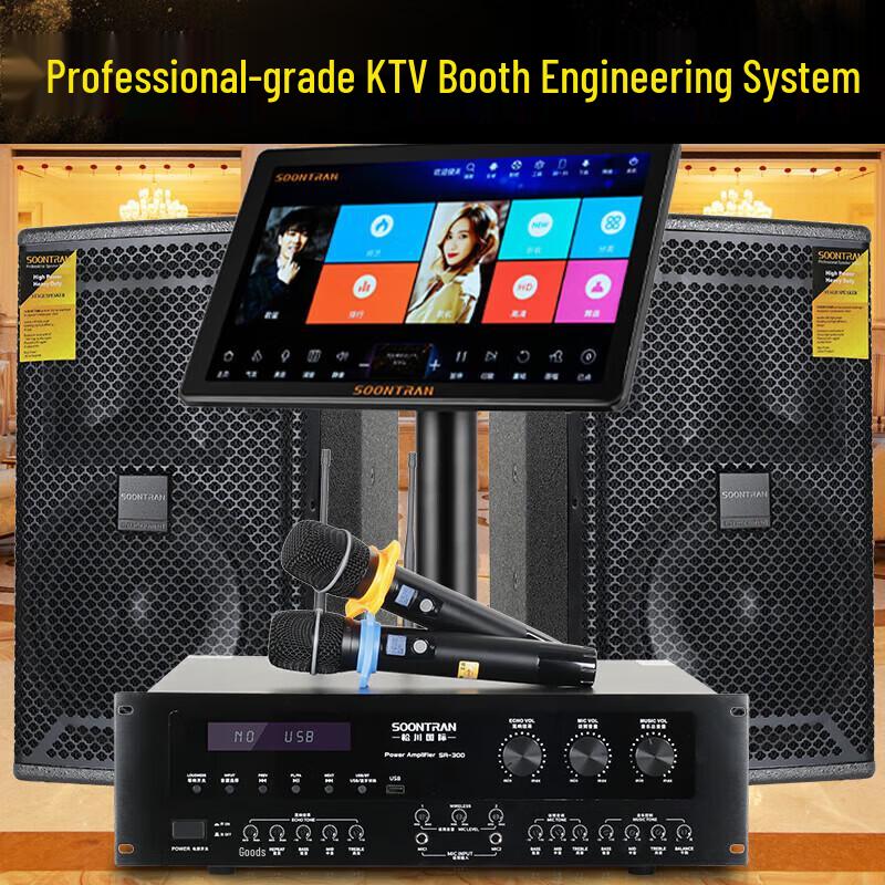 Songchuan SP101 Home KTV Professional Audio System CN Plug (adapter Included)