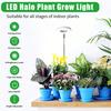 LED Indoor Angel Ring Plant Growth Light 2/4/8H On/Off Timer USB 5V Retractable Height Full Spectrum Simulated Sunlight Plant