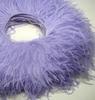 15-18cm Double Layer Dense Ostrich Feather Trim for Clothing & Formal Wear