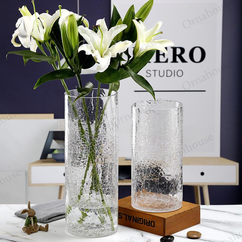 

Transparent Glass Vase for Fresh Flowers, Creative Simplicity, Ice Crack, Waist Tied Vases, Dracaena Sanderina Water