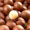 KEWEI Creamy Macadamia Nuts