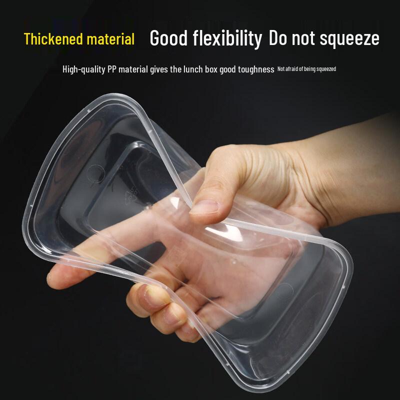 ZISIZ Disposable Rectangular Plastic Lunch Box