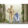 TAMASHII NATIONS S.H.Figuarts Star Wars R2-D2 -Classic Ver.- (STAR ??WARS: A New Hope) Approximately 90mm ABS & PVC Painted Movable Figure
