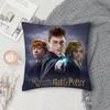 FILM HARRY POTTER GORĄCY CHŁODNY Poszewka na poduszkę Kwadratowa Dwustronny Druk Krótki Plusz Pokrowiec na poduszkę do sofy Sypialnia Poduszka nocna