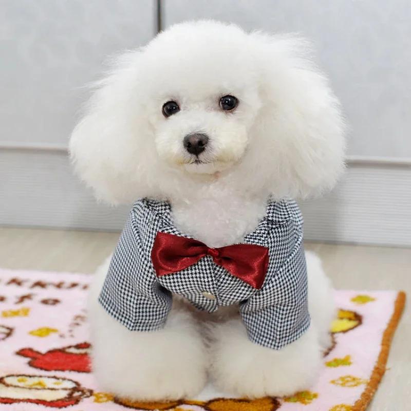 

Dog Shirt Male Dog Clothes Coat Suit Yorkie Poodle Bichon Pomeranian Pug Clothes Boy Dog Wedding Costume Pet Clothing Outfit XXL сірий колір