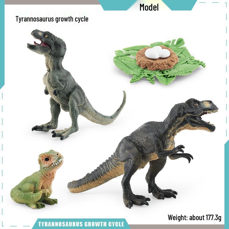 Animal Growth Cycle Models: Chicken, Duck, Goose, Butterfly, Turtle, Frog Montessori Teaching Figurines