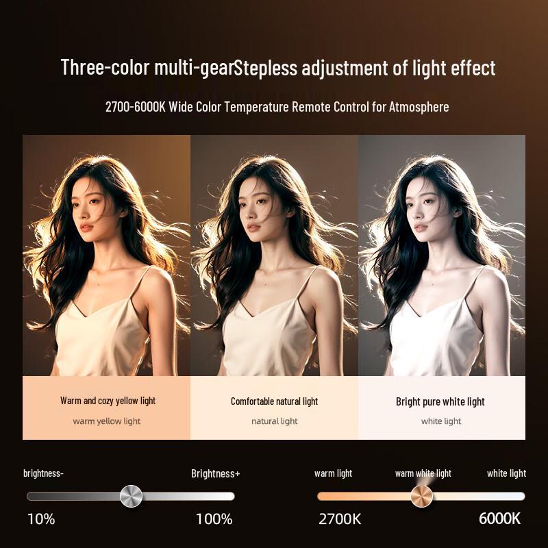 Professional Live Stream Hair Fill Light