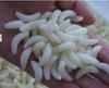 2cm/0.4g Maggot Mealworm Soft Plastic Bionic Lure - Imitation Bait for Fishing
