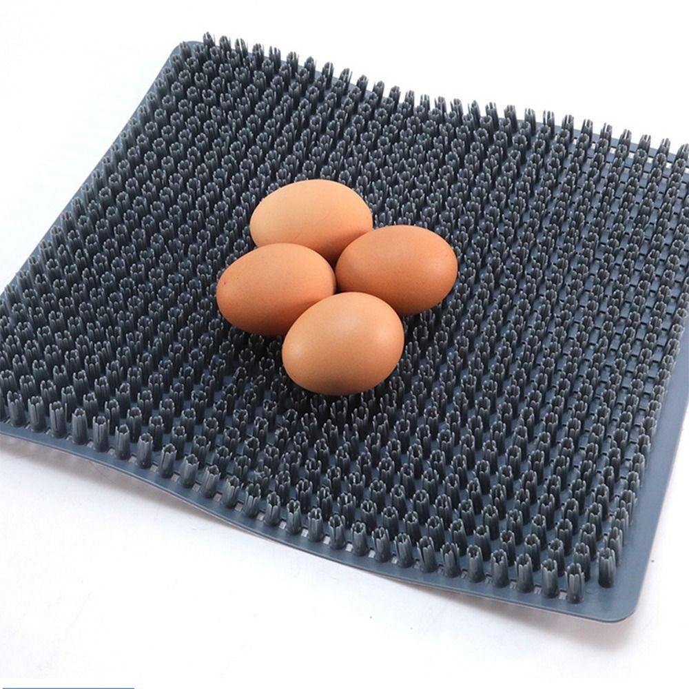Plastic Hen Nest Box Pads Rectangular Egg Laying Mats Chicken Bedding Mats  Prevents Cracked Egg