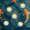 Lampes LED – Bougies LED