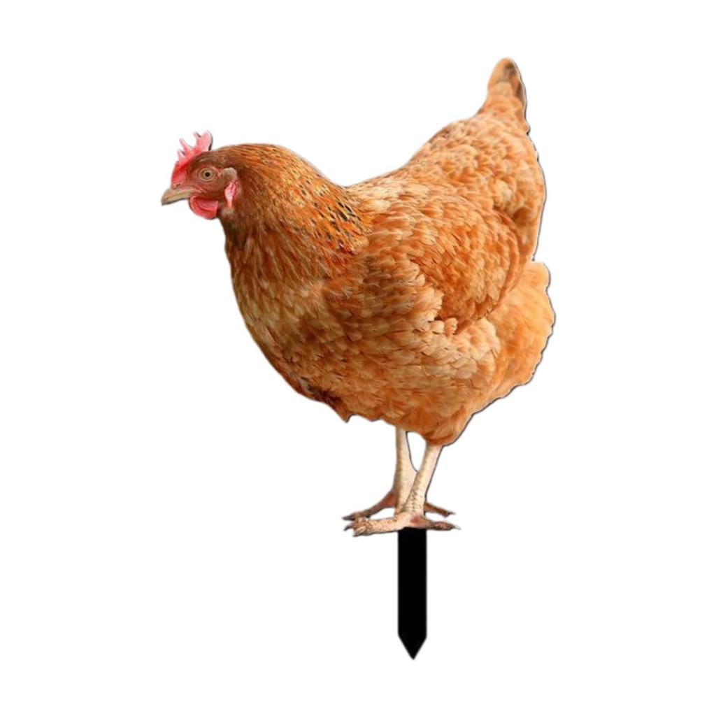 Garden Stakes Decoration Easy To Use Artwork Ornaments Acrylic Figurine Chicken Sculpture for Backyard Patio Garden Porch Fence