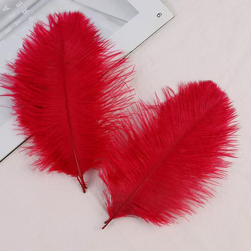 Large 15-20cm Ostrich Feathers for Wedding Arrangements and Stage Props
